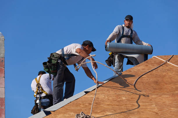 Best Roof Maintenance Services  in Little Falls, NY